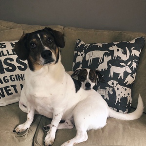 Fundraising Page: Hayley Brooks